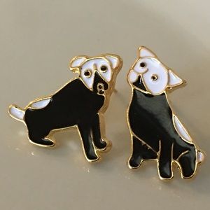 Cute puppy dogs 🐕 black with white faces